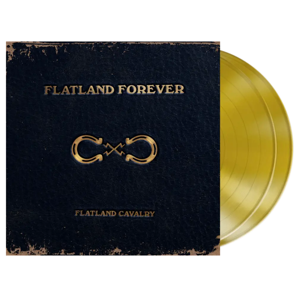 Gold vinyl record album.