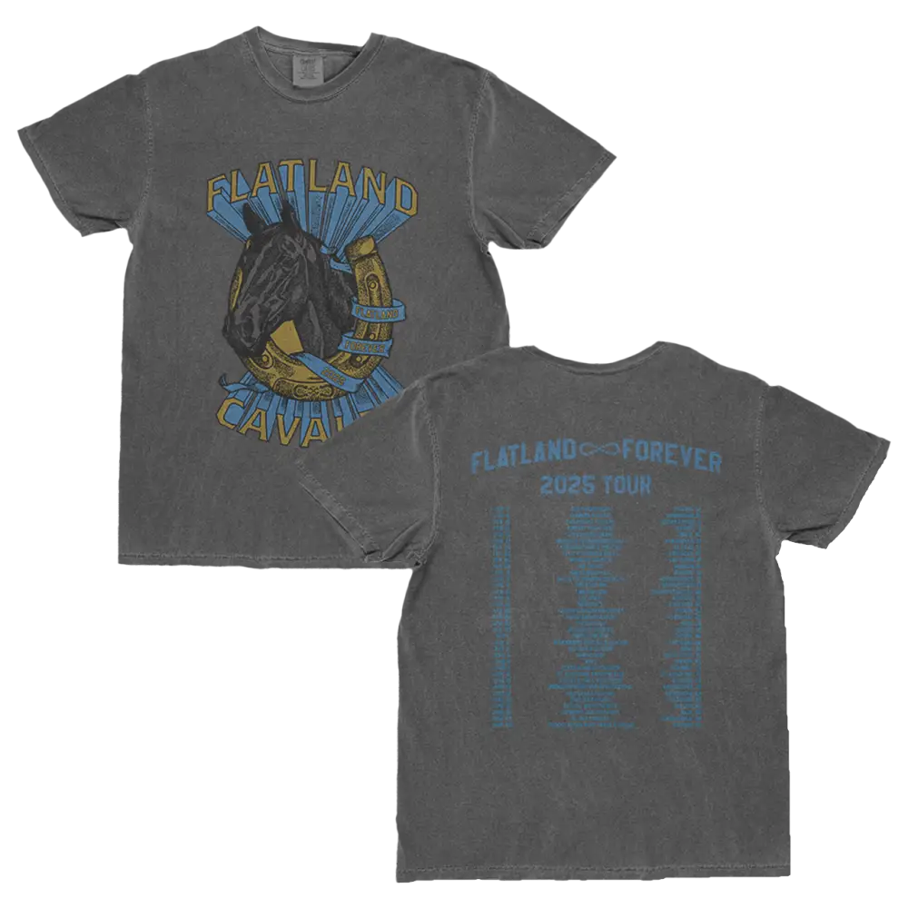 Gray t-shirt with horse graphic.