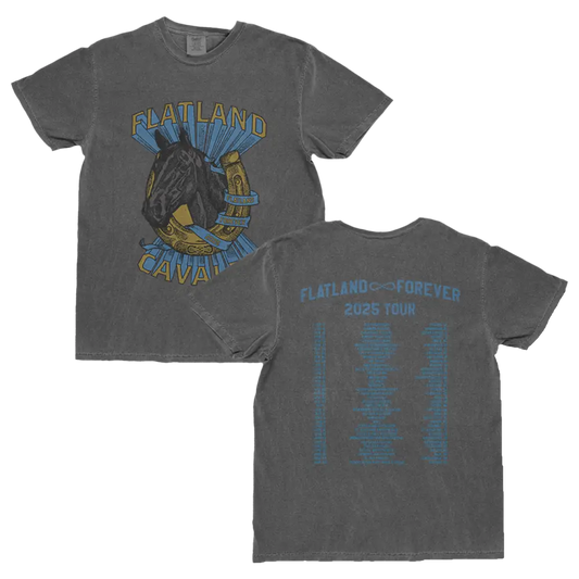 Gray t-shirt with horse graphic.