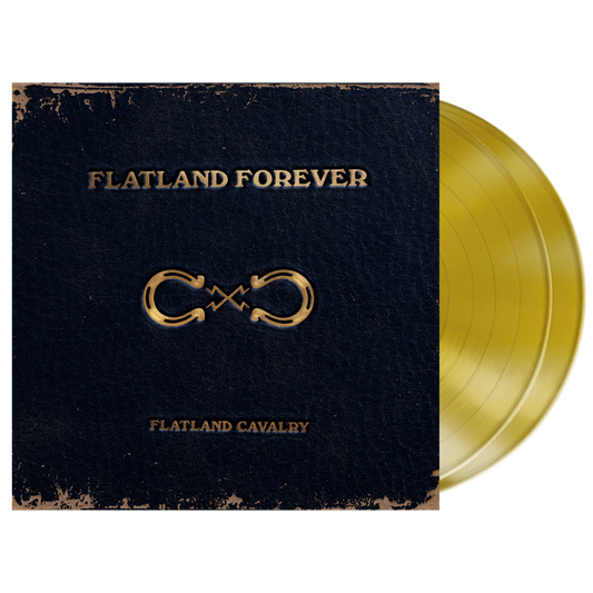 Gold vinyl record album.