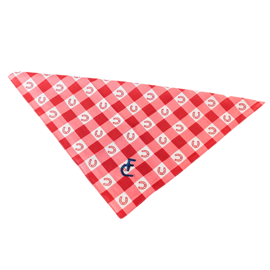 Dog Bandana