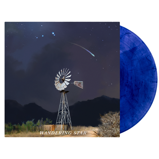 Vinyl record album with a blue marbled disc and cover art depicting a windmill under a starry night sky.