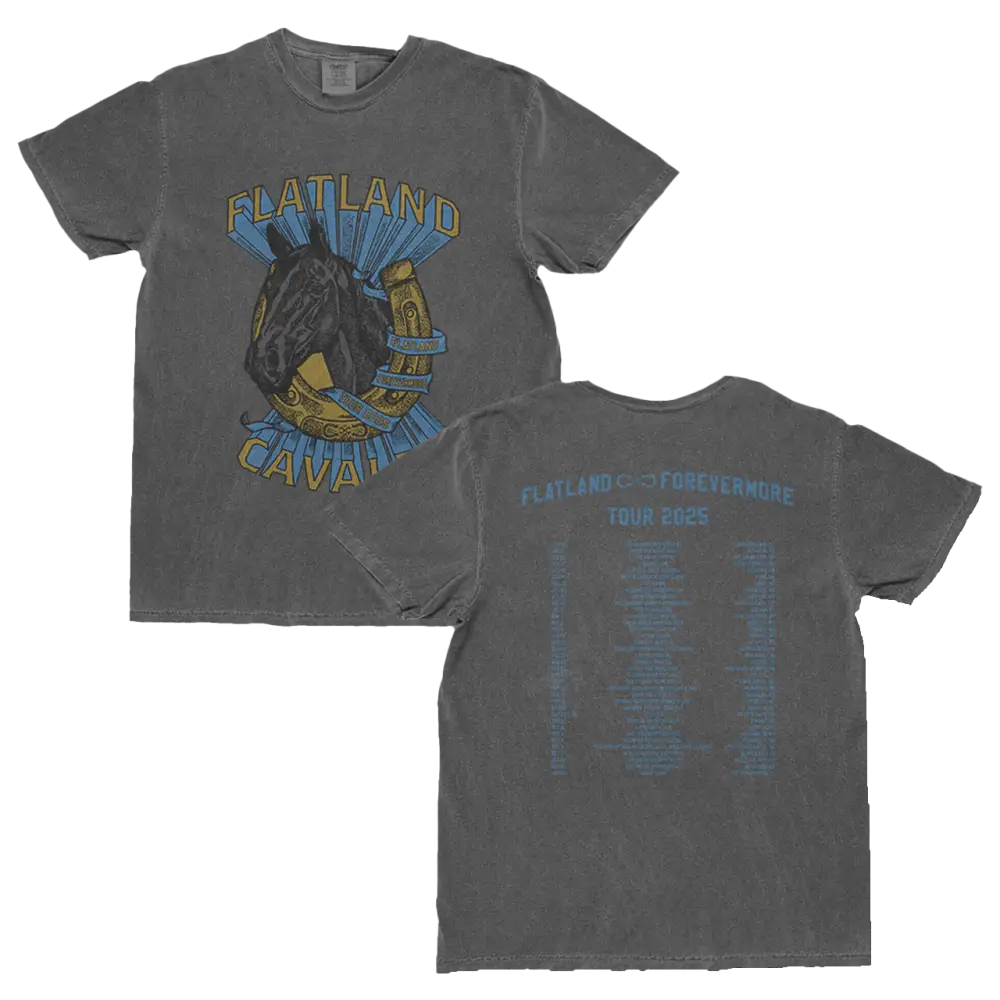 Gray t-shirt with horse graphic.